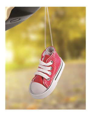 Hanging shoe air freshener 